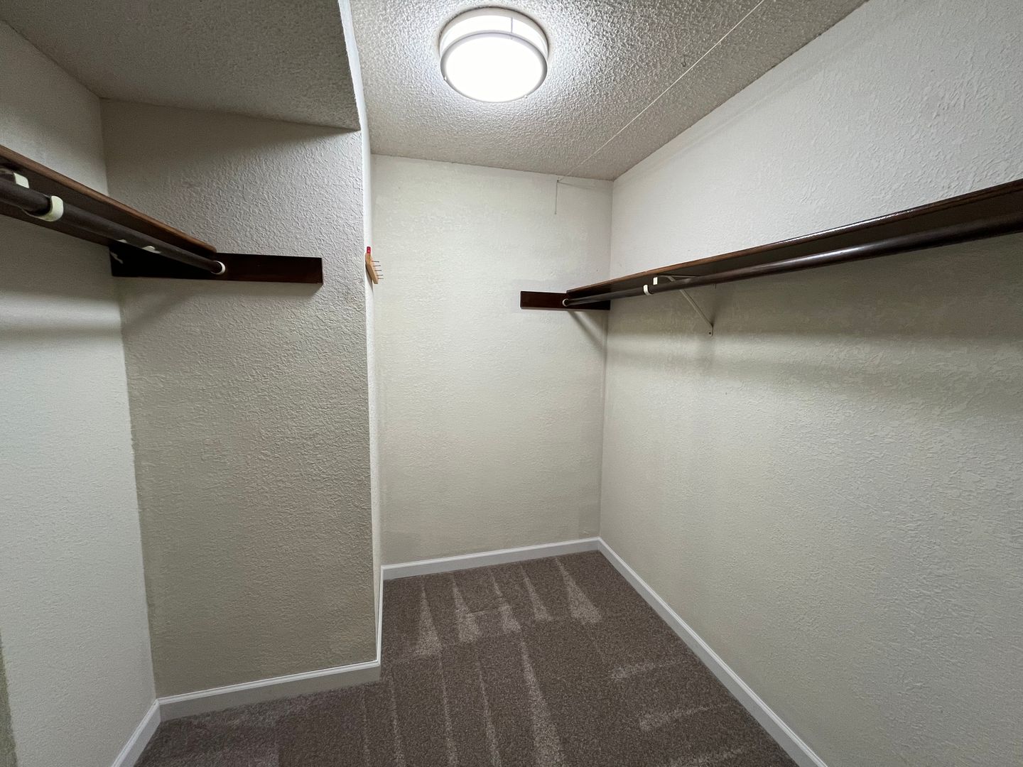 3104 Bill McDonald Parkway D203 - Bellingham - Washington - 2 bed, 1 bath rental property