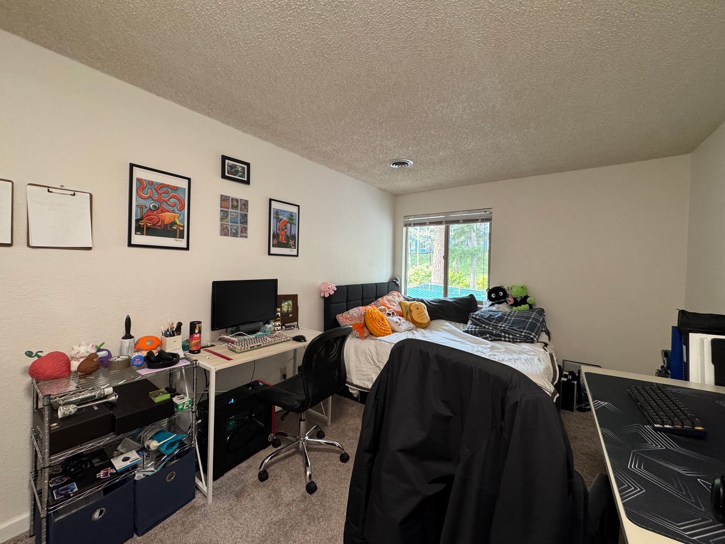 3104 Bill McDonald Parkway D203 - Bellingham - Washington - 2 bed, 1 bath rental property