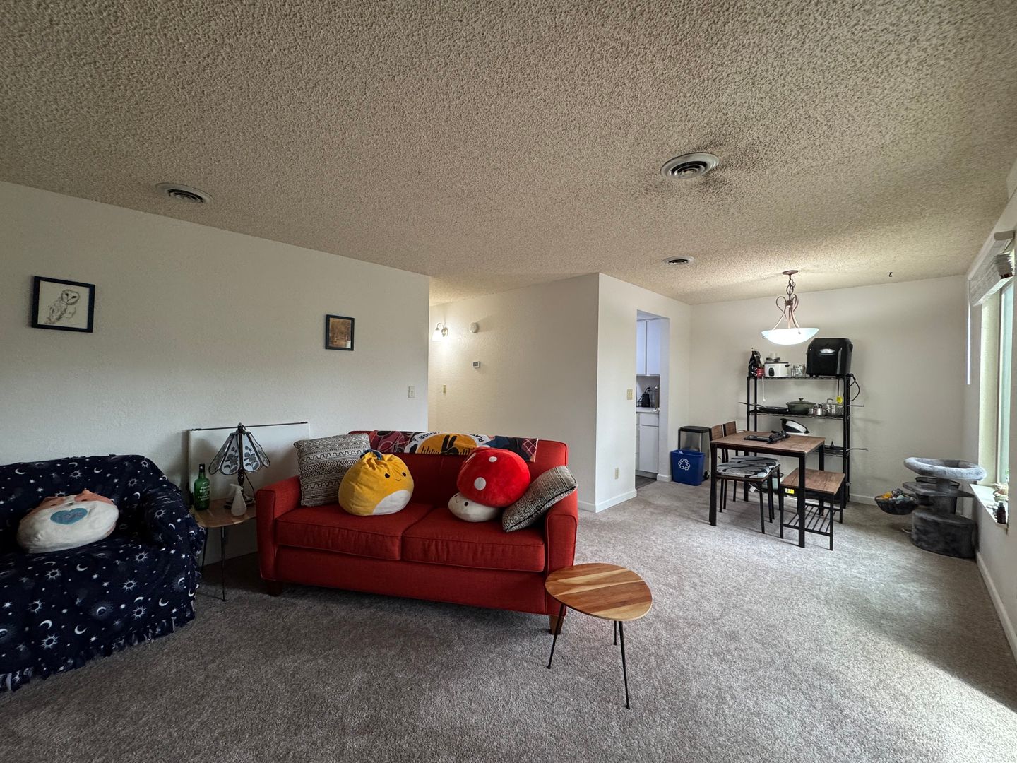3104 Bill McDonald Parkway D203 - Bellingham - Washington - 2 bed, 1 bath rental property