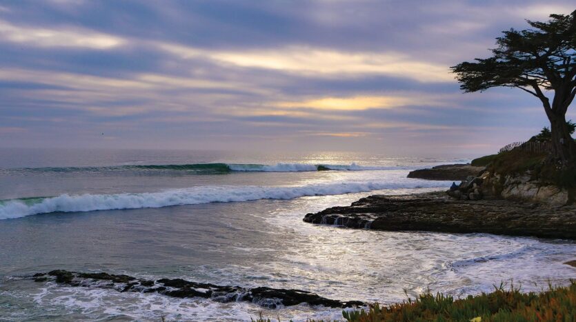 316 Fair Ave. Unit A - Santa Cruz - California - 1 bath rental property