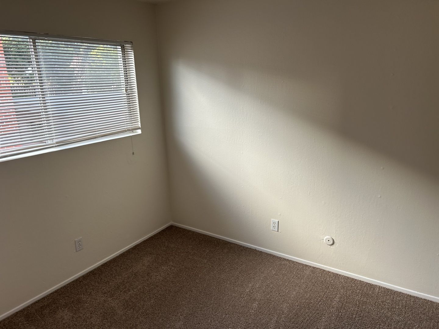 37 El Rose Drive - 2 - Petaluma - California - 2 bed, 1 bath rental property