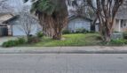 3935 E. Laurel Avenue - Visalia - California - 3 bed, 2 bath rental property