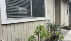 463 Coffield Ave - Napa - California - 2 bed, 1 bath rental property