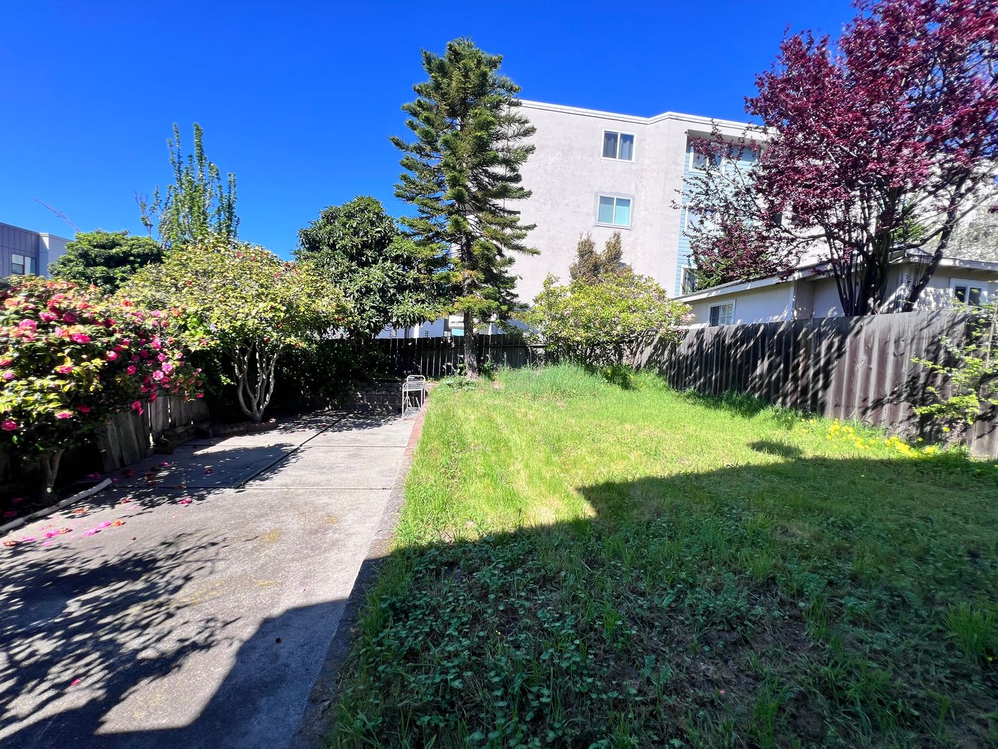 715 Washington Ave - Albany - California - 4 bed, 2 bath rental property
