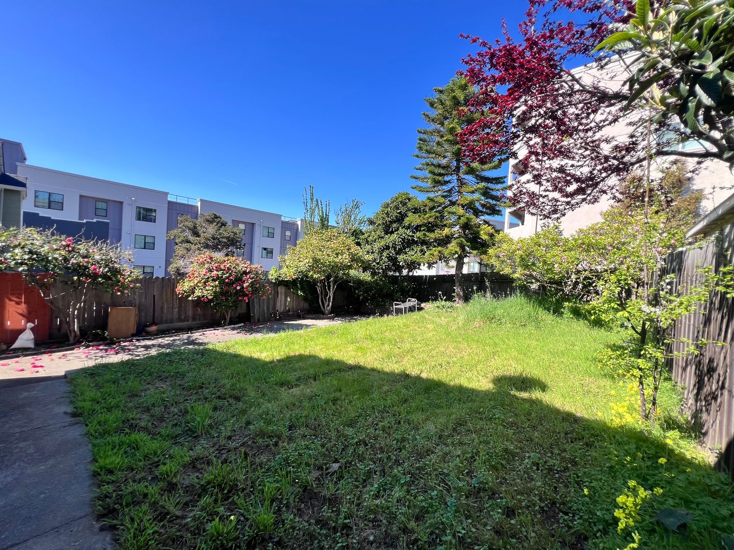 715 Washington Ave - Albany - California - 4 bed, 2 bath rental property