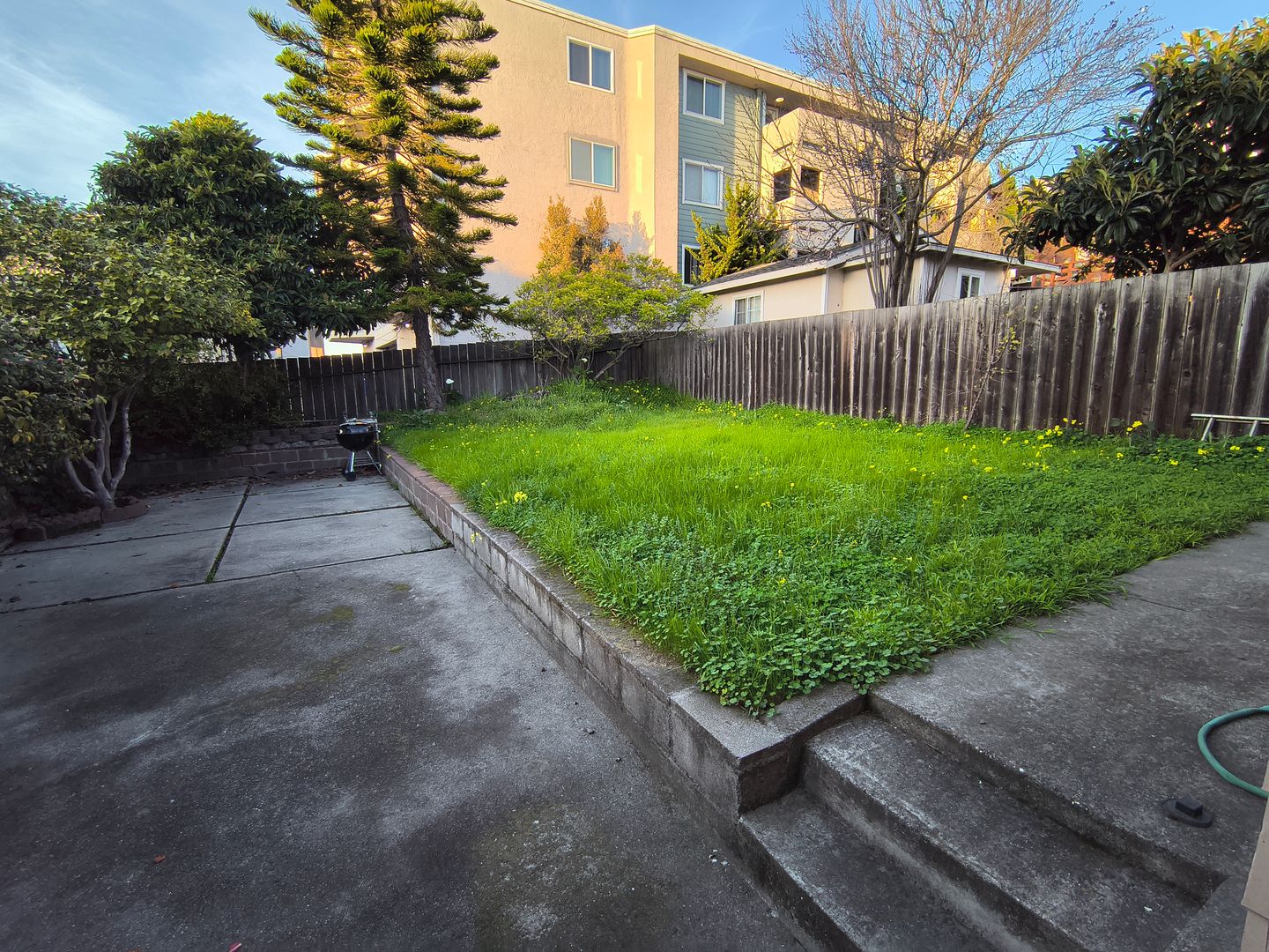 715 Washington Ave - Albany - California - 3 bed, 2 bath rental property