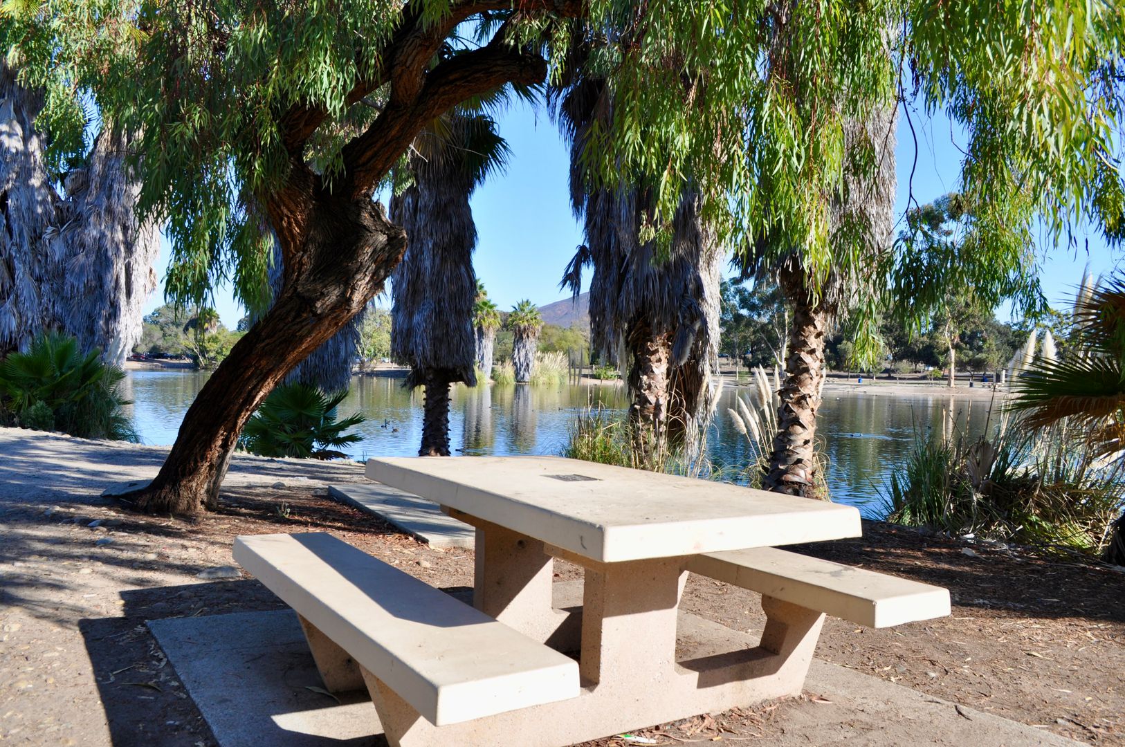 7695 Torrem St - La Mesa - California - 3 bed, 2 bath rental property