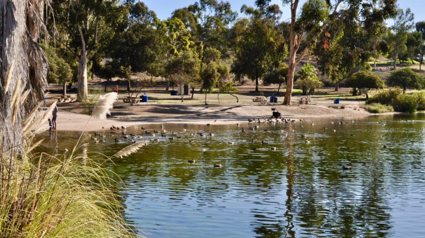 7695 Torrem St - La Mesa - California - 3 bed, 2 bath rental property