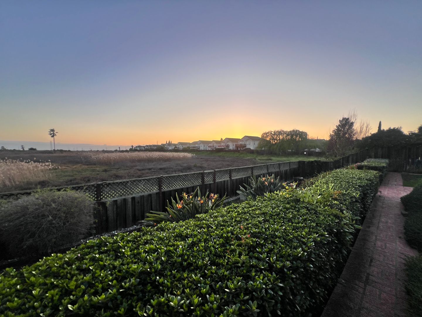 8153 Merion Drive - Newark - California - 3 bed, 3 bath rental property