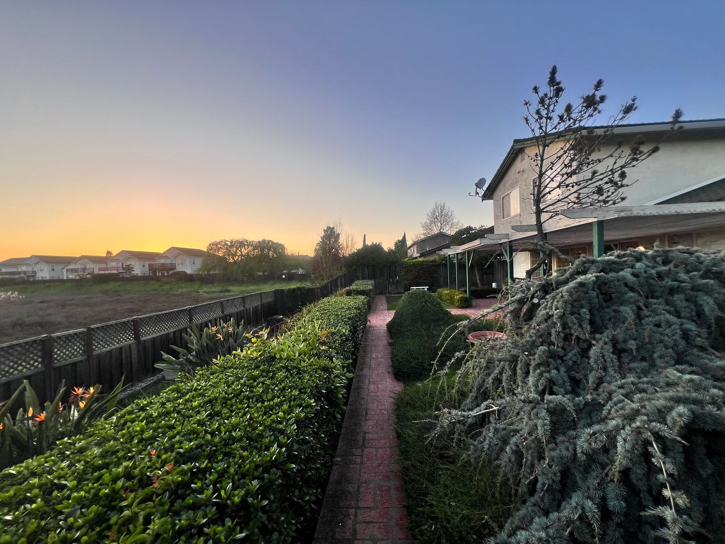 8153 Merion Drive - Newark - California - 3 bed, 3 bath rental property