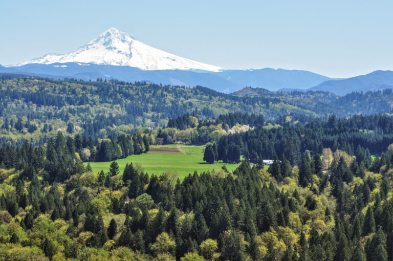 How Much Does Property Management Cost in Gresham? (2026)