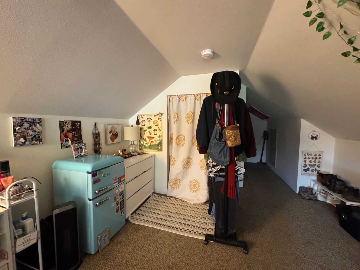 1120 23rd St. - Bellingham - Washington - 6 bed, 2.5 bath rental property