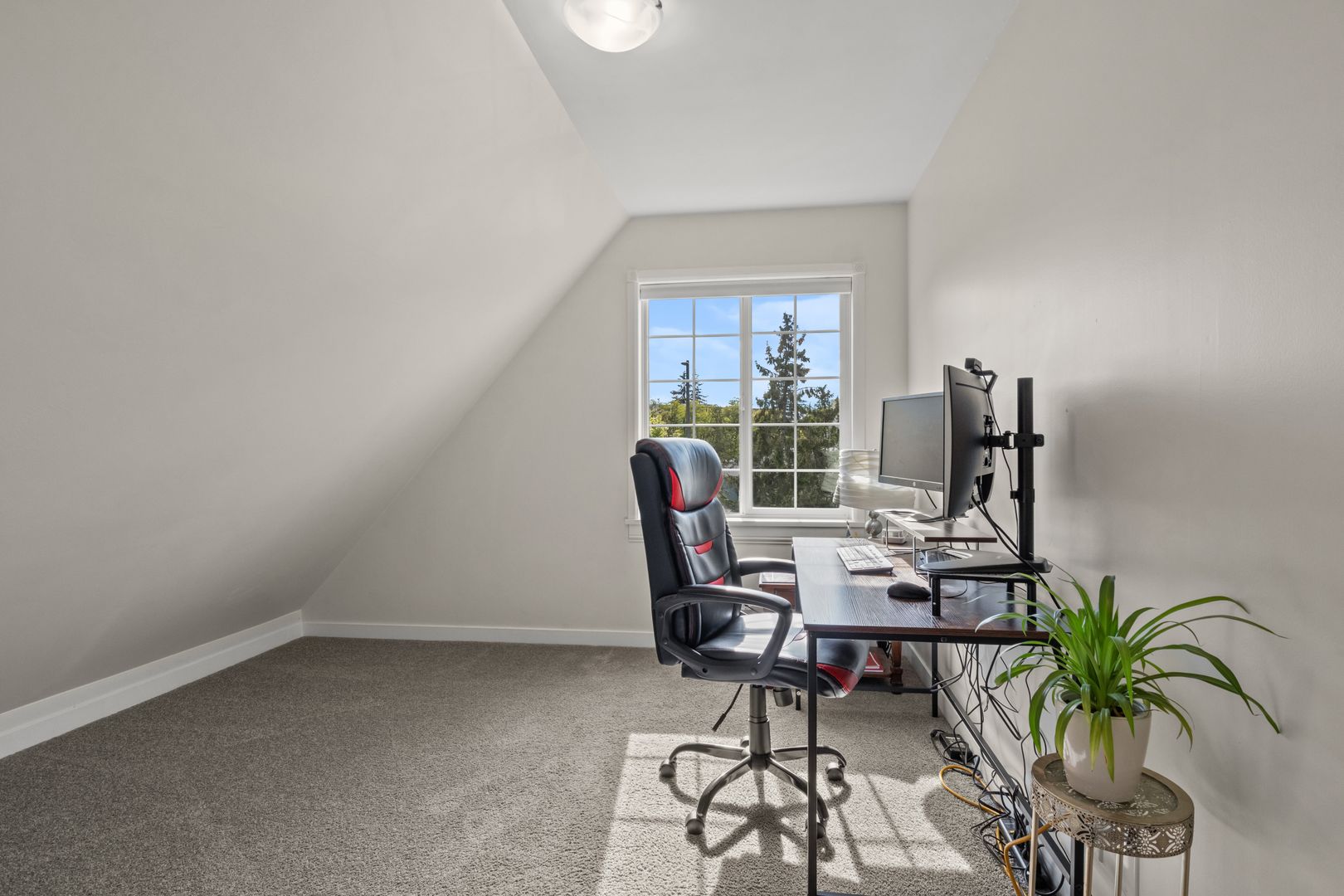 1230 Ellis St - Bellingham - Washington - 5 bed, 3 bath rental property