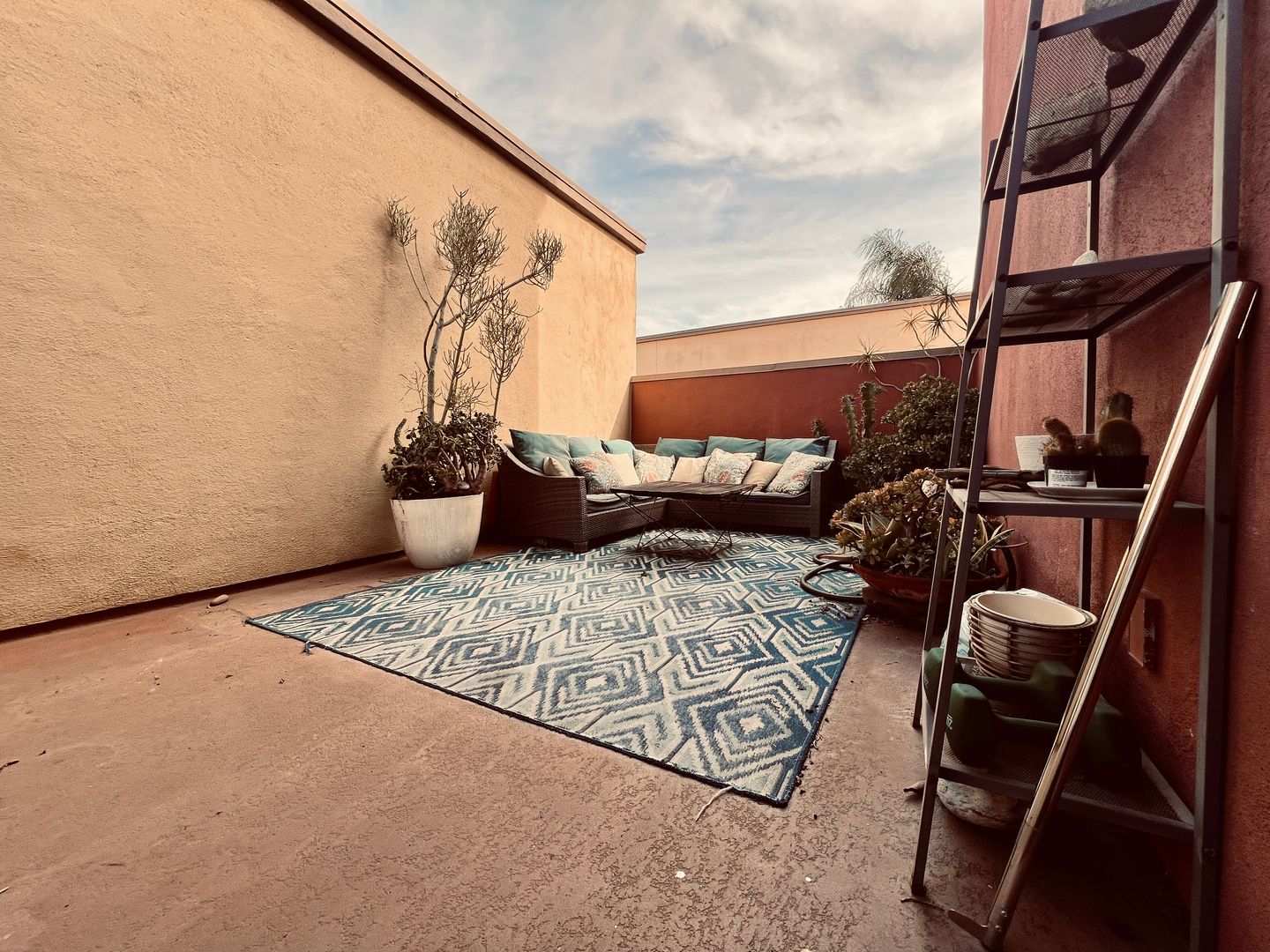 1250 Cleveland Avenue Unit 315 - San Diego - California - 1 bed, 1.5 bath rental property
