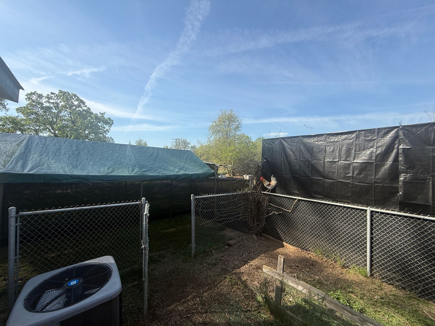 12795 Avenue 320 - Visalia - California - 3 bed, 2 bath rental property