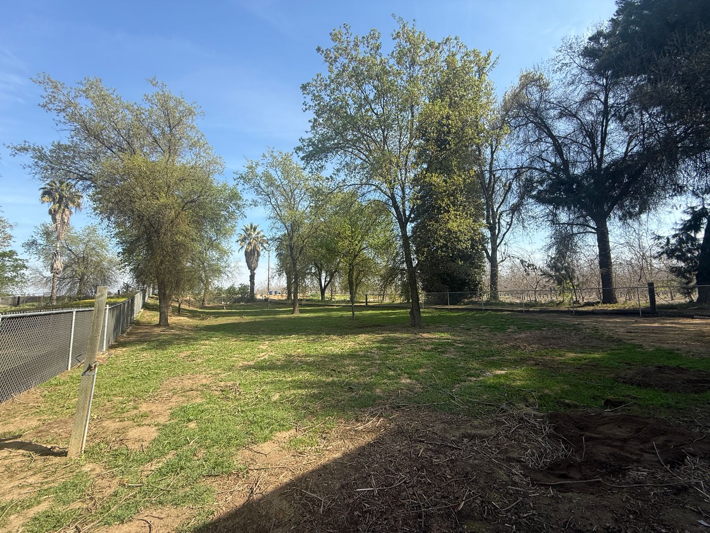 12795 Avenue 320 - Visalia - California - 3 bed, 2 bath rental property