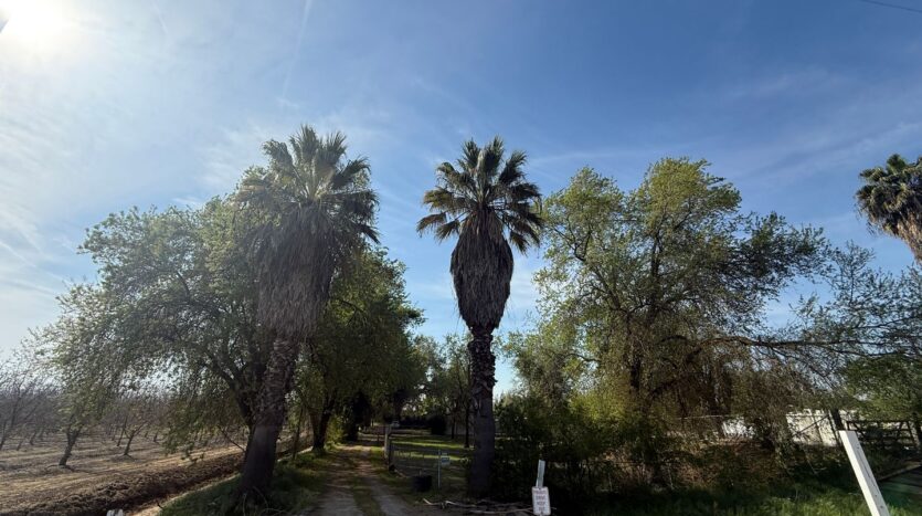 12795 Avenue 320 - Visalia - California - 3 bed, 2 bath rental property