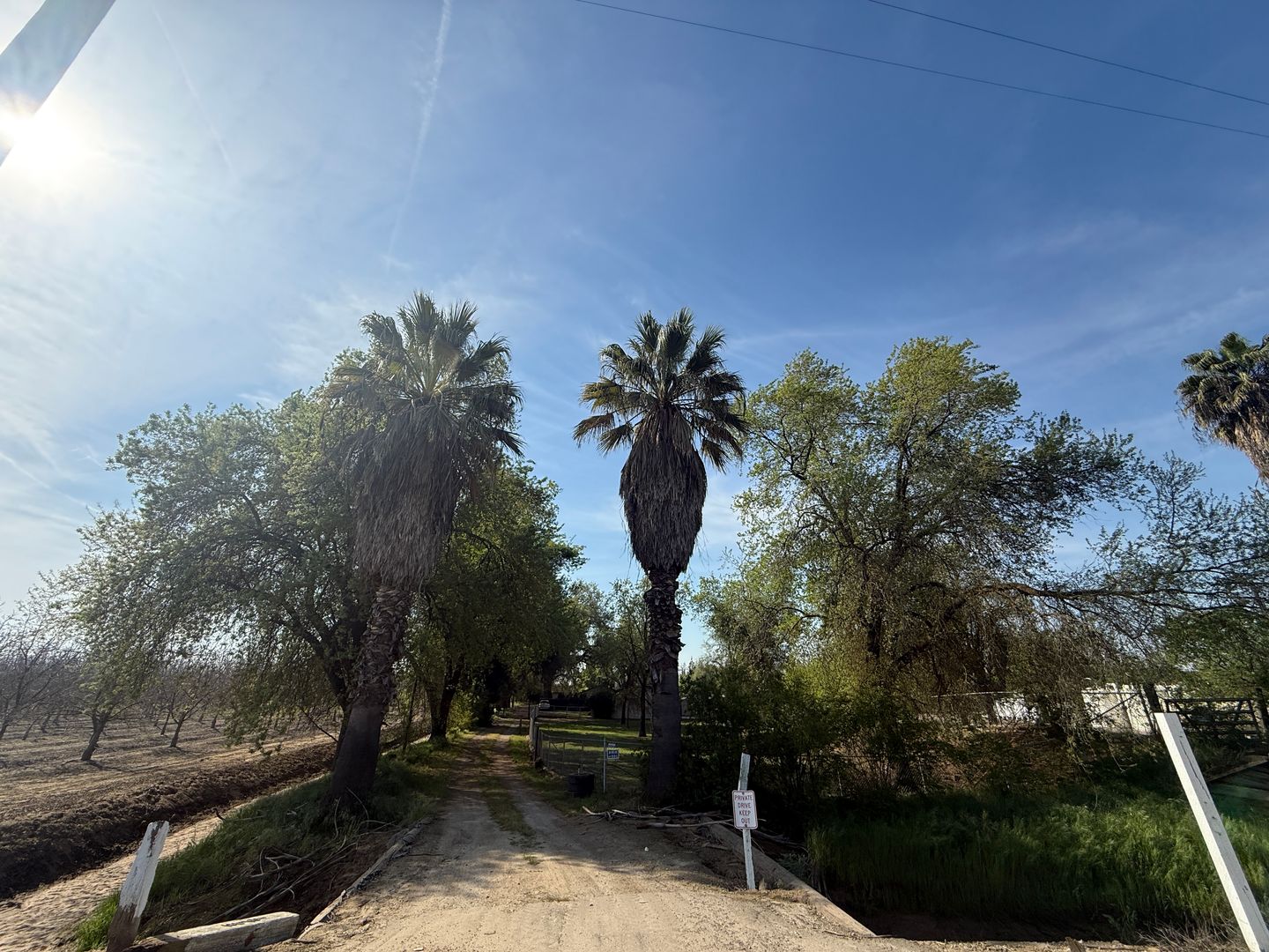 12795 Avenue 320 - Visalia - California - 3 bed, 2 bath rental property