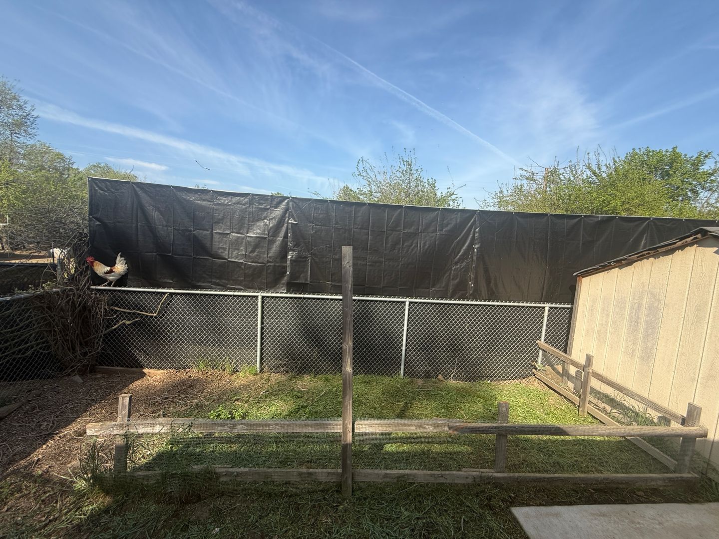 12795 Avenue 320 - Visalia - California - 3 bed, 2 bath rental property