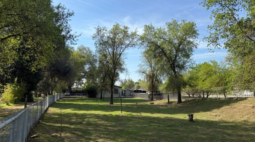 12795 Avenue 320 - Visalia - California - 3 bed, 2 bath rental property