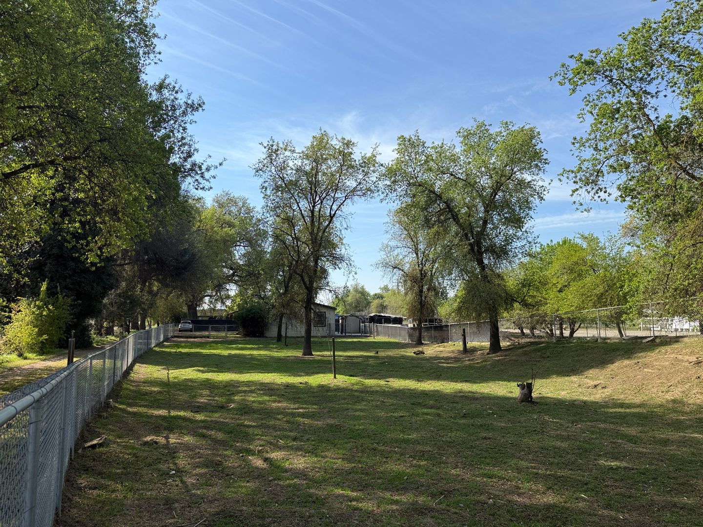 12795 Avenue 320 - Visalia - California - 3 bed, 2 bath rental property