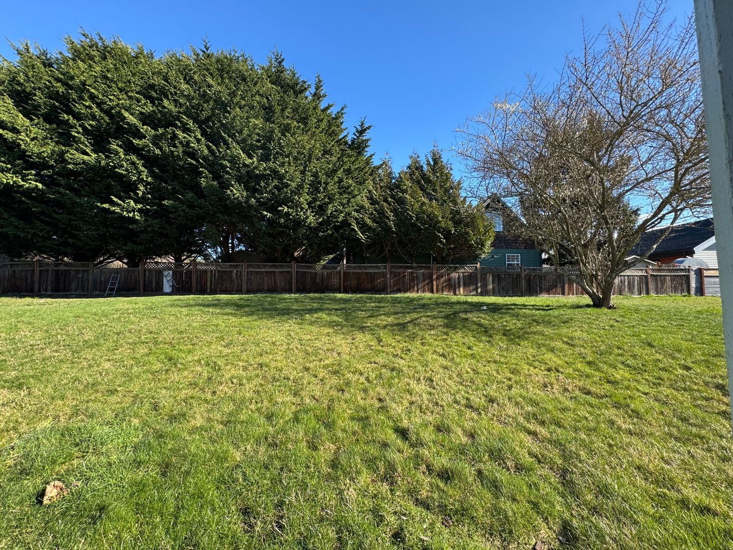 1331 -1335 Varsity Pl - Bellingham - Washington - 4 bed, 3 bath rental property