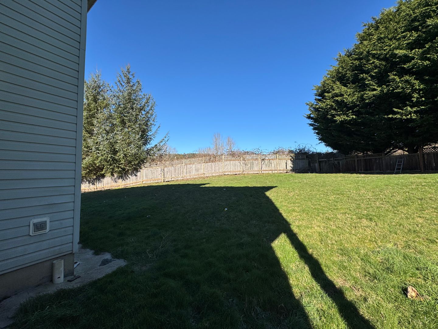 1331 -1335 Varsity Pl - Bellingham - Washington - 4 bed, 3 bath rental property