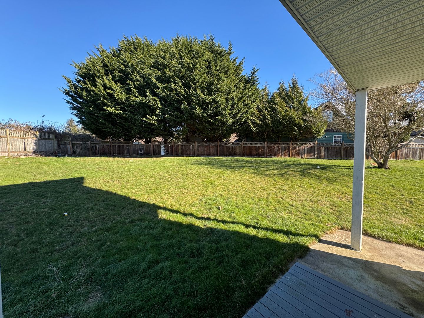 1331 -1335 Varsity Pl - Bellingham - Washington - 4 bed, 3 bath rental property