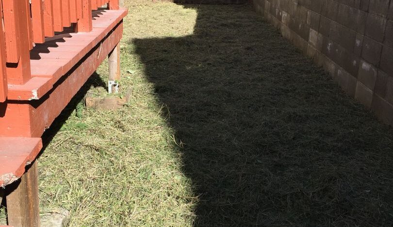 16028 Marcella St - San Leandro - California - 2 bed, 1 bath rental property