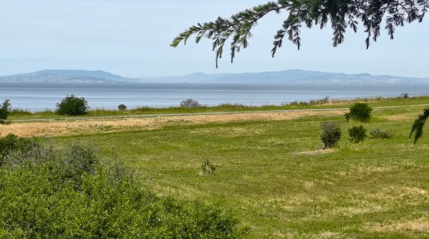 2275 Cypress Ave - San Pablo - California - 3 bed, 2 bath rental property