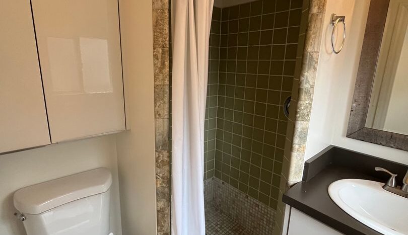 328 9th St - Del Mar - California - 1 bath rental property