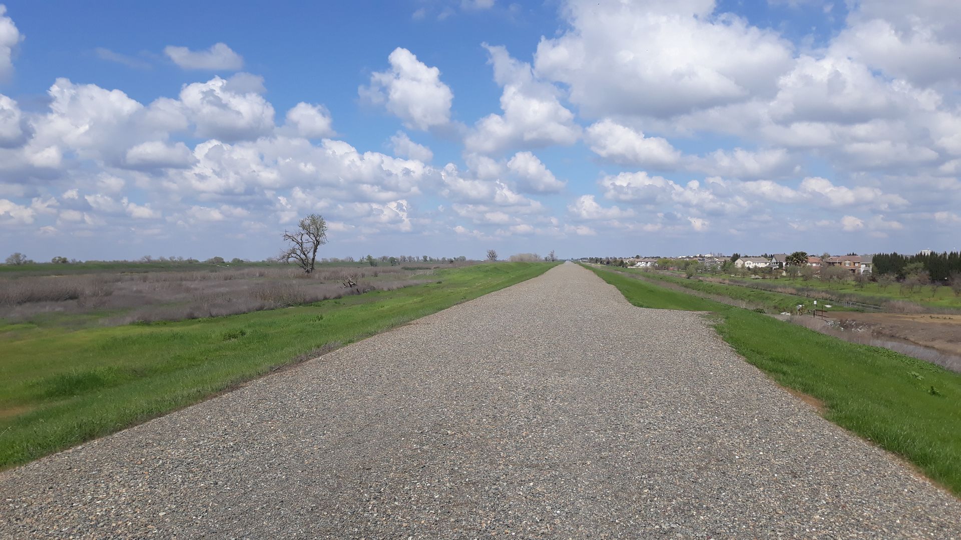 3285 Falcon Ct  - West Sacramento - California - 3 bed, 2.5 bath rental property