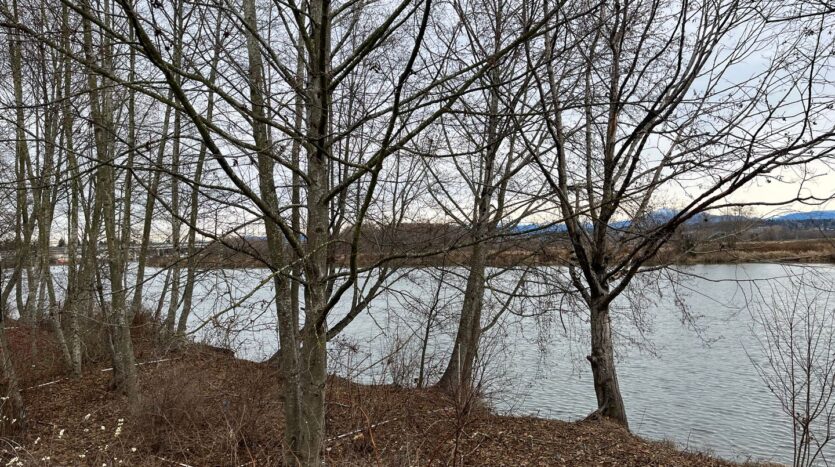 3417 31st Drive  - Everett - Washington - 2 bed, 3 bath rental property