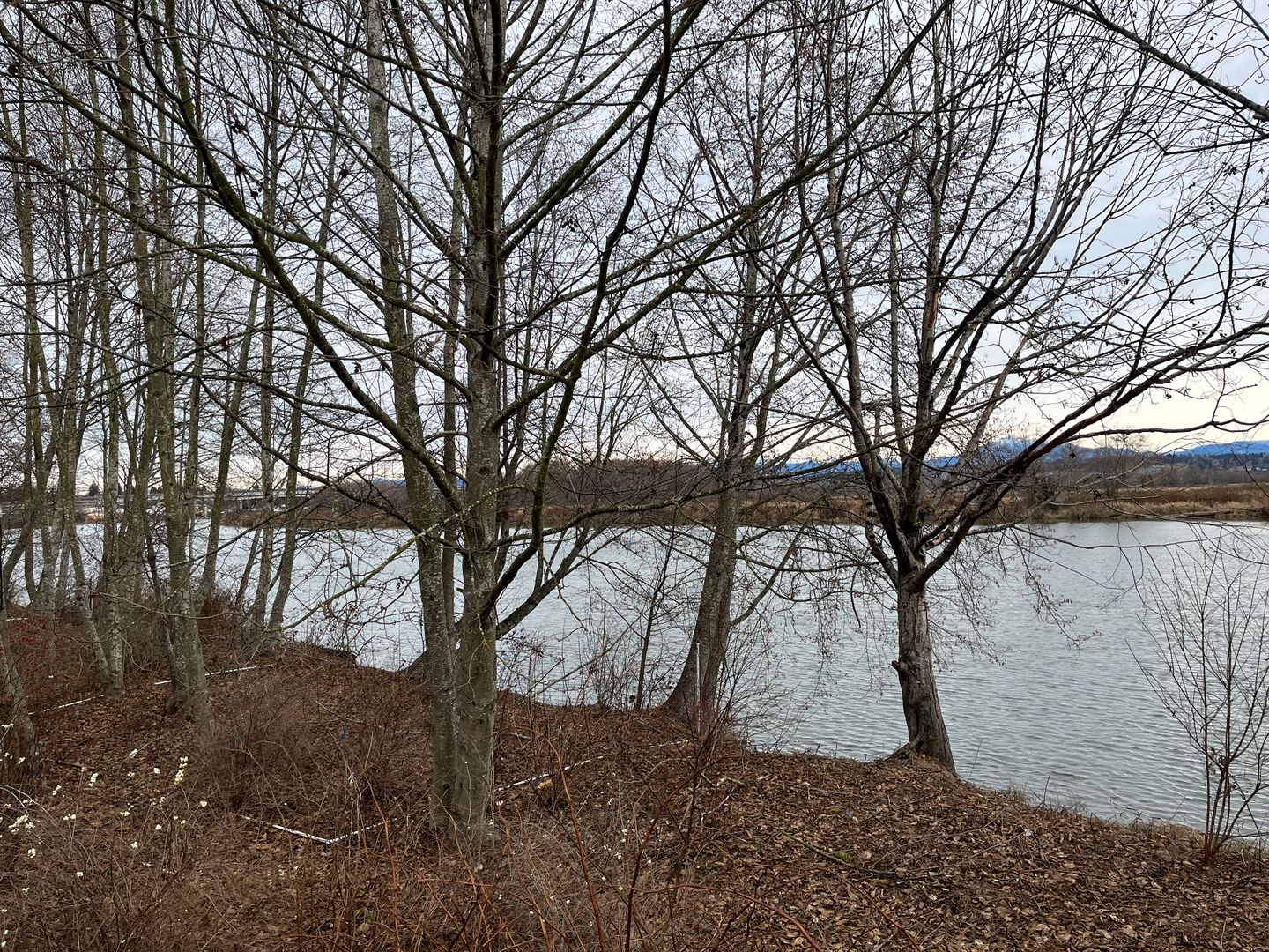 3417 31st Drive  - Everett - Washington - 2 bed, 3 bath rental property