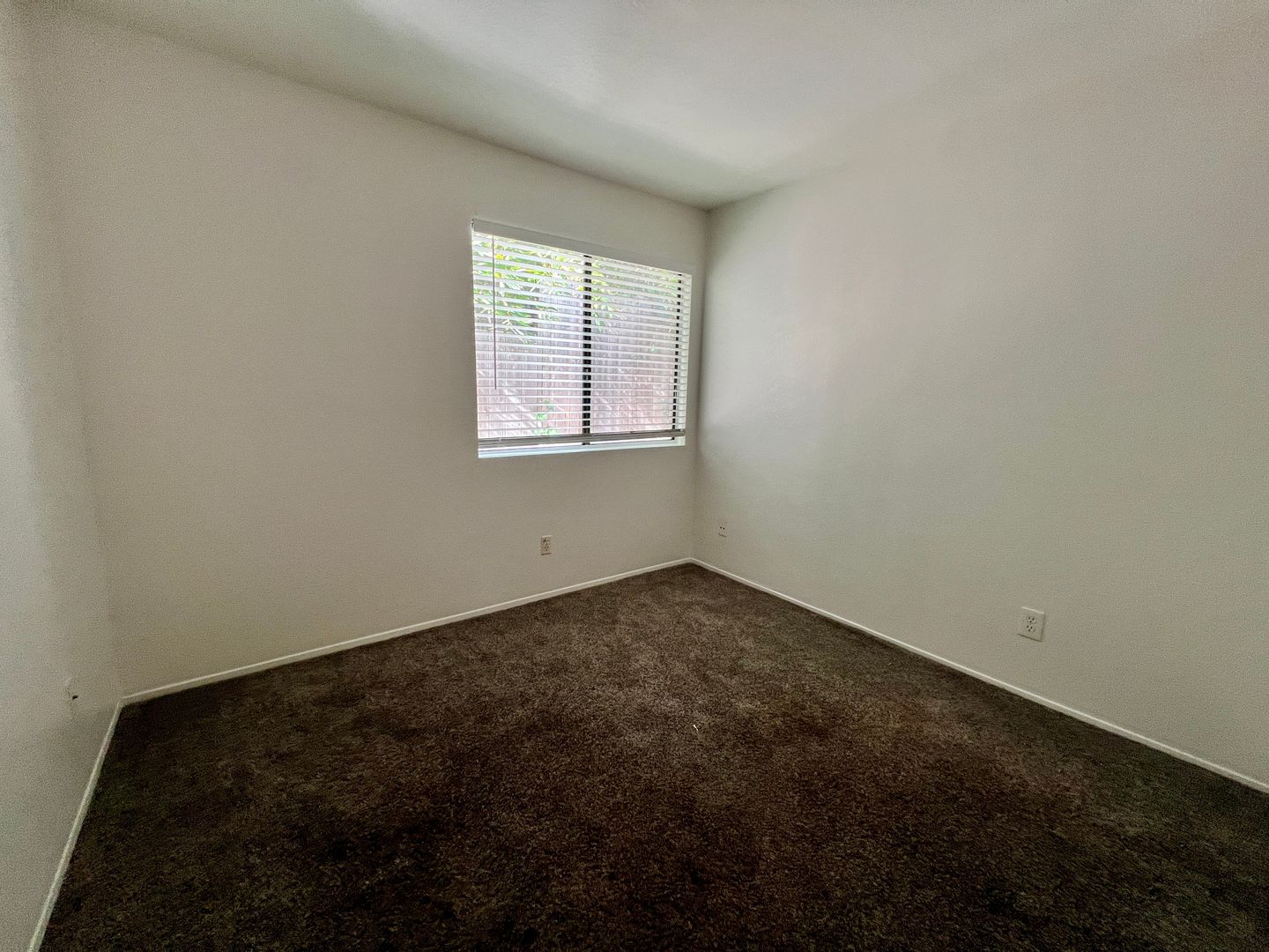 3711 Louisiana Street #3 - San Diego - California - 3 bed, 2.5 bath rental property