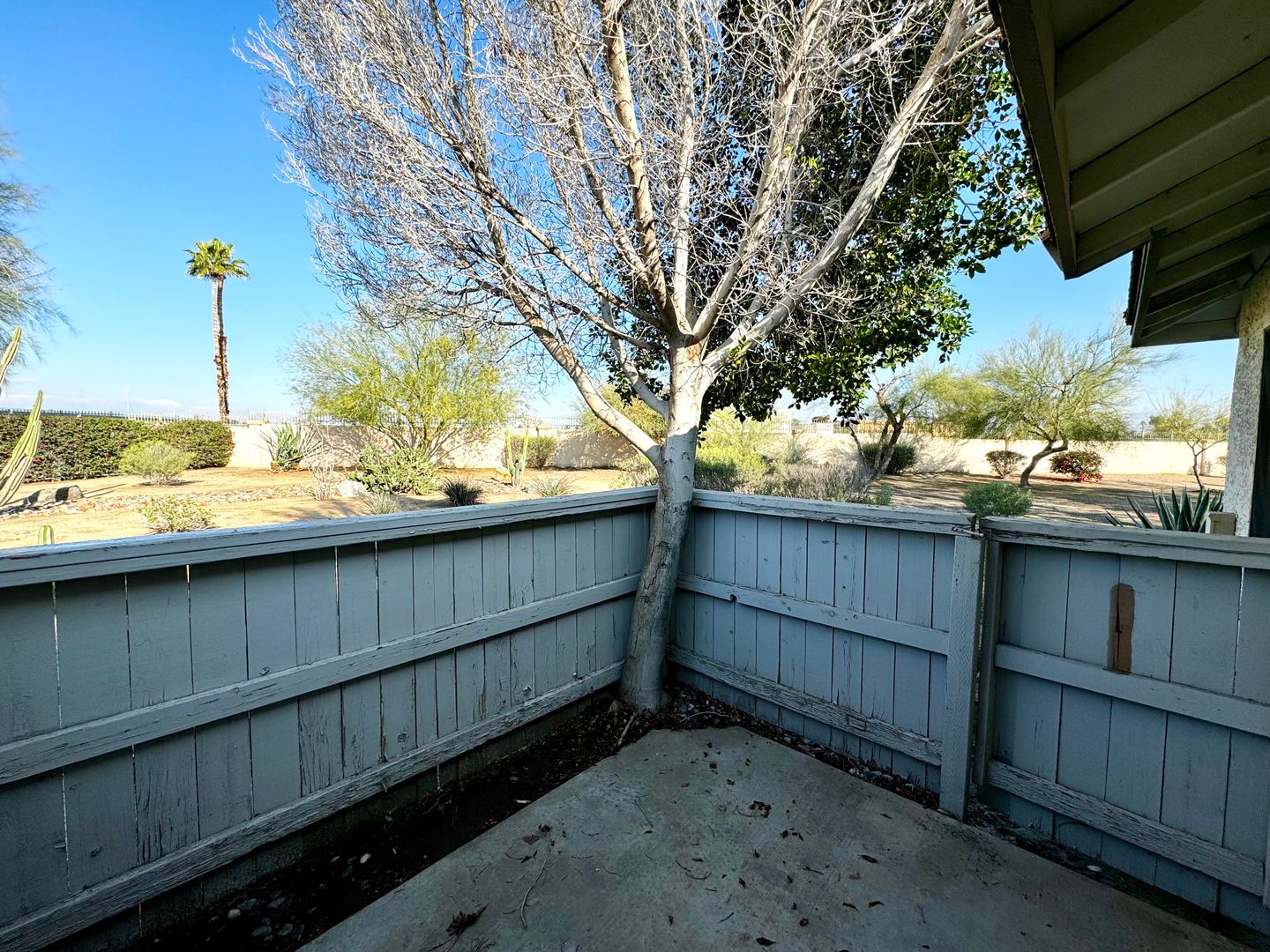 43376 Cook St Unit 34 - Palm Desert - California - 1 bed, 1 bath rental property