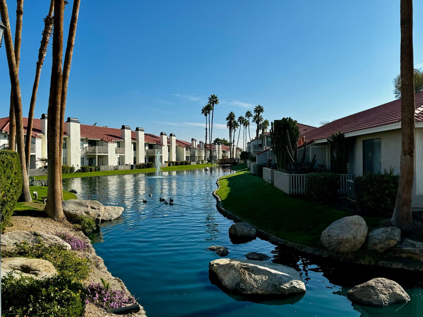 43376 Cook St Unit 34 - Palm Desert - California - 1 bed, 1 bath rental property