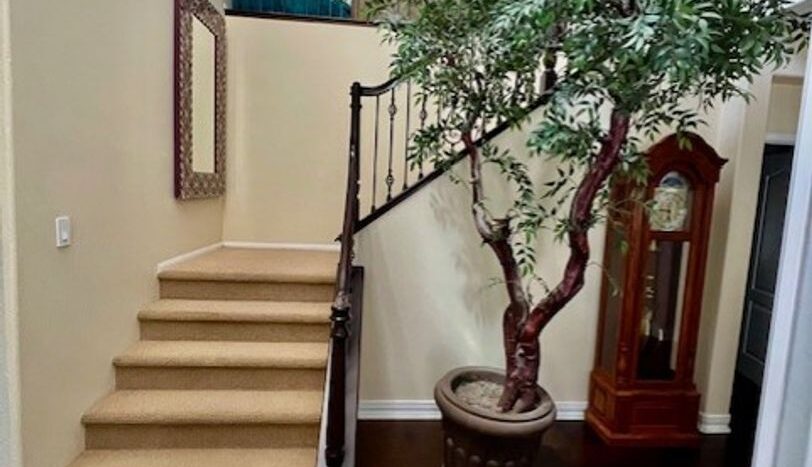 43767 Via Cavalo - Temecula - California - 5 bed, 4 bath rental property