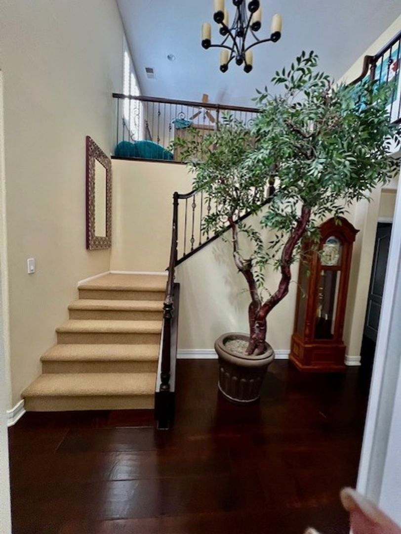 43767 Via Cavalo - Temecula - California - 5 bed, 4 bath rental property