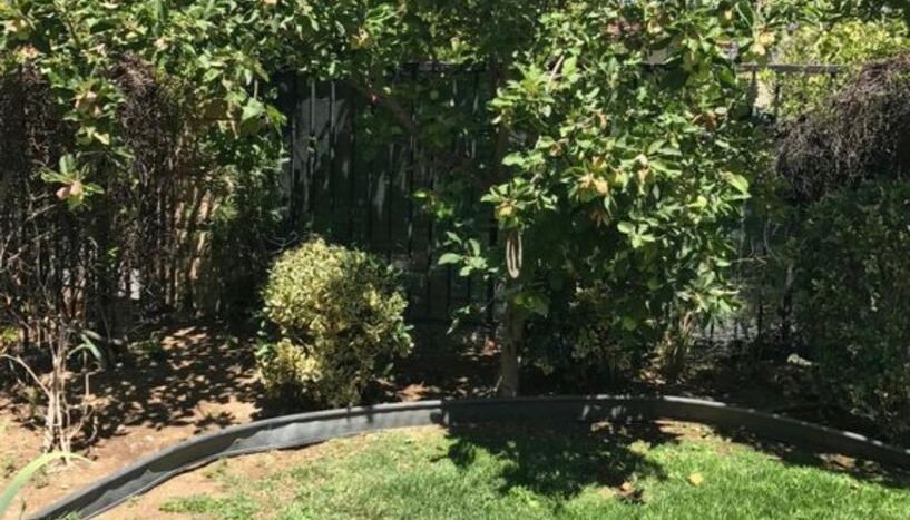 5408 Francisca Way,  - Agoura Hills - California - 4 bed, 3 bath rental property