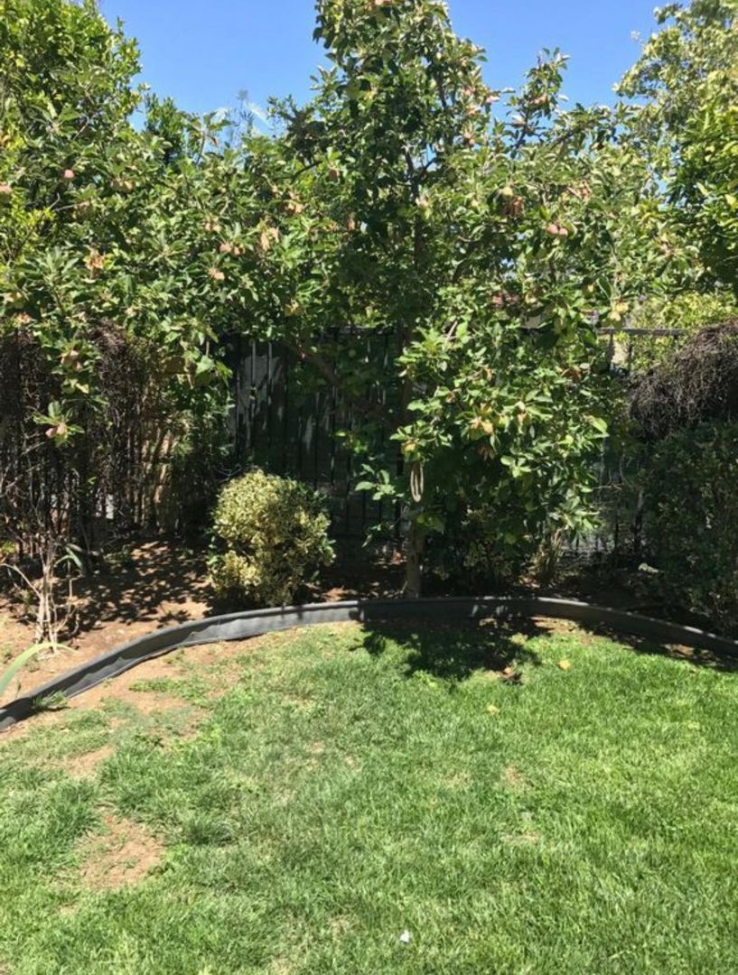 5408 Francisca Way,  - Agoura Hills - California - 4 bed, 3 bath rental property