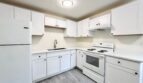 6009 SE 138th Pl - Portland - Oregon - 3 bed, 1 bath rental property