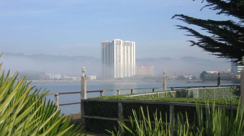 6363 Christie Ave #1413 - Emeryville - California - 1 bed, 1 bath rental property