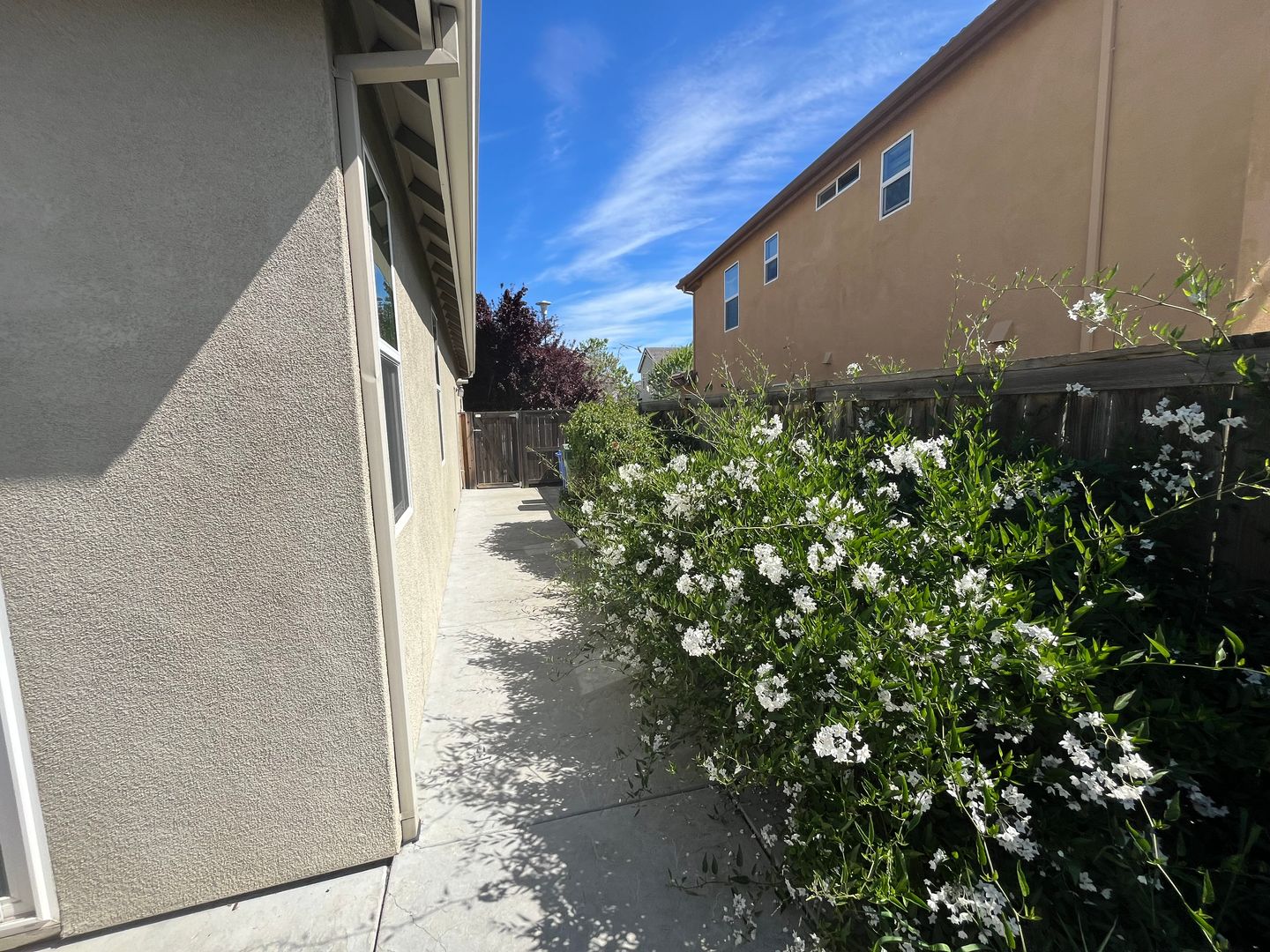 9984 Fan Shell Lane - Elk Grove - California - 3 bed, 2 bath rental property