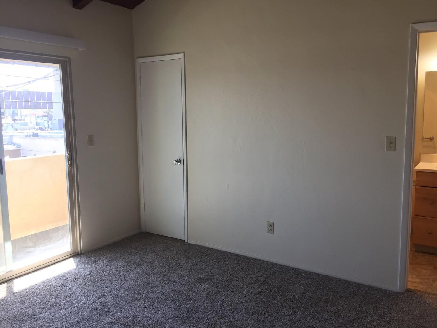 1027 Felspar Street - San Diego - California - 1 bed, 1 bath rental property