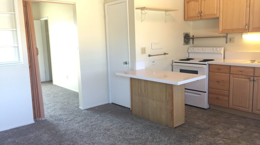 1027 Felspar Street - San Diego - California - 1 bed, 1 bath rental property