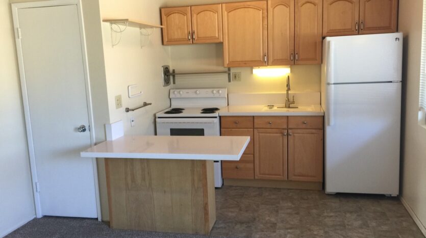 1027 Felspar Street - San Diego - California - 1 bed, 1 bath rental property