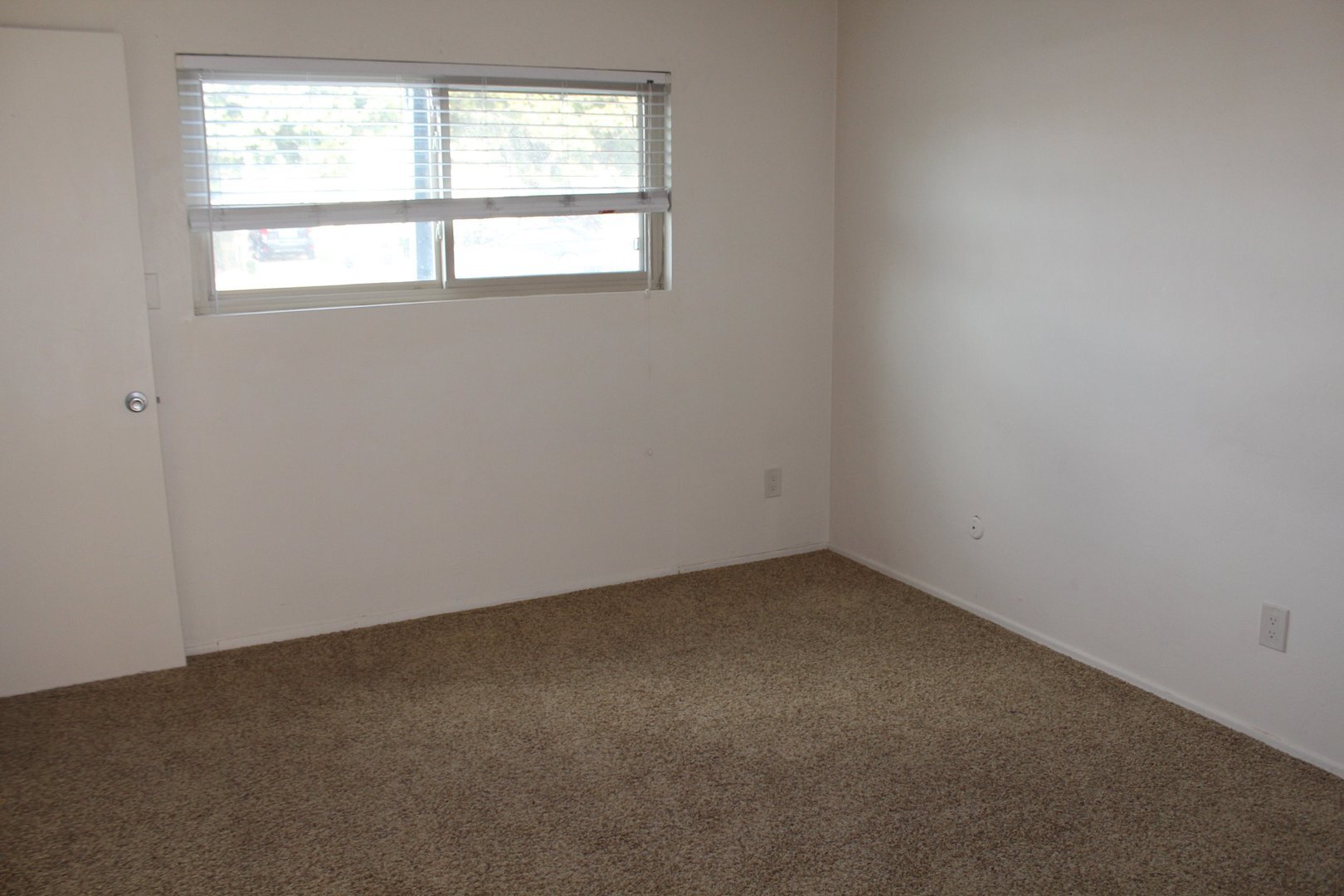 1027 Felspar Street - San Diego - California - 1 bed, 1 bath rental property