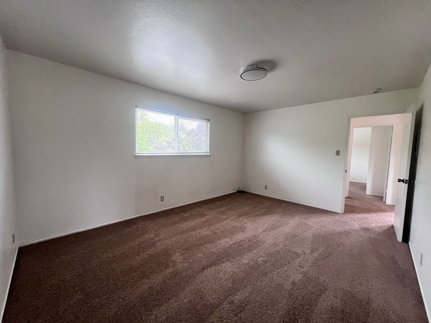 1176 Rex Road - Hayward - California - 2 bed, 1 bath rental property