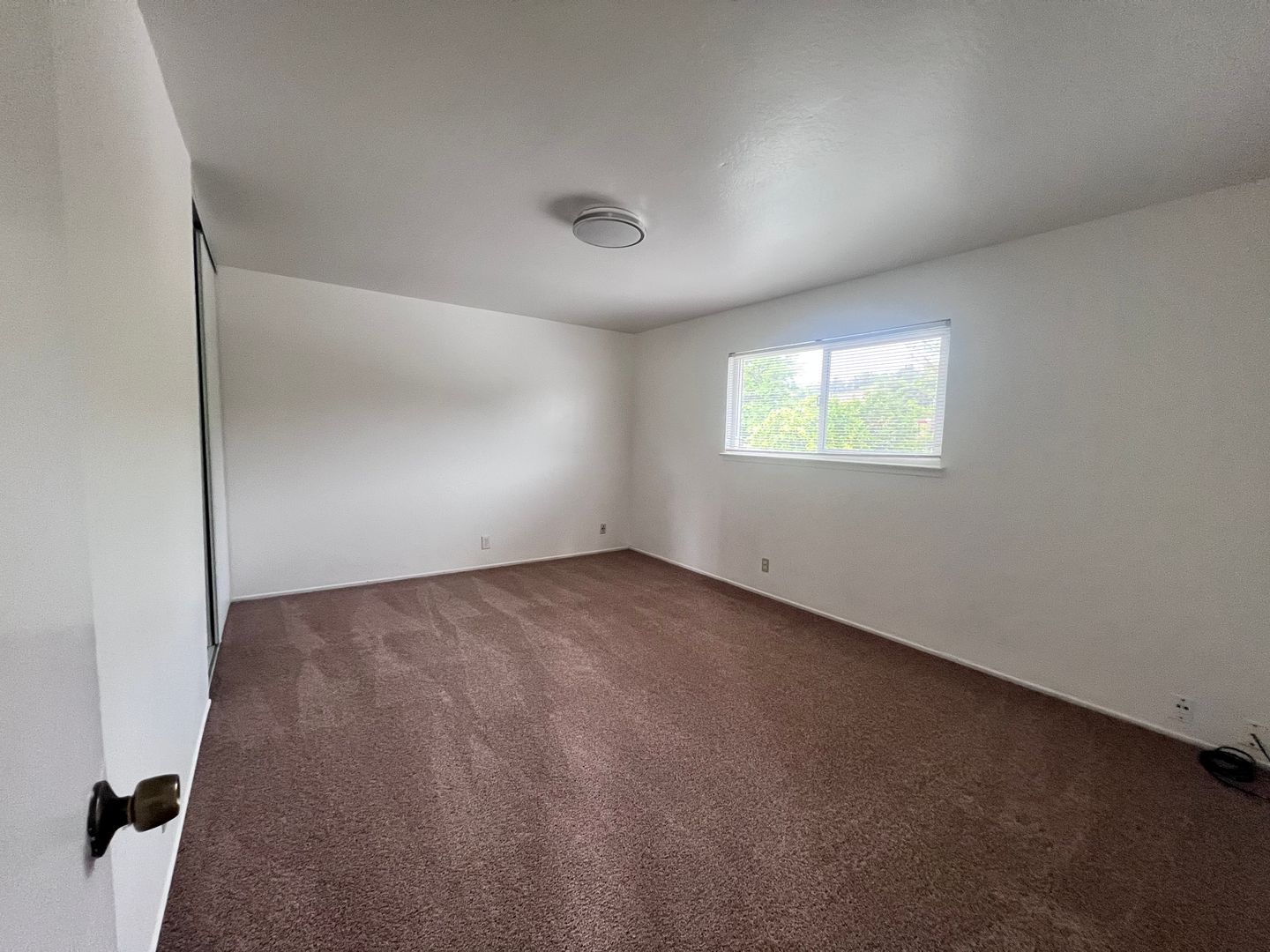 1176 Rex Road - Hayward - California - 2 bed, 1 bath rental property